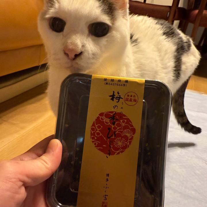 4ae58395 8448 49a2 a8fe 9064eacd3206 1763439090648