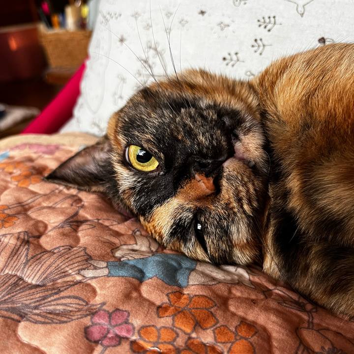 4ae6184d 869e 4ec7 b934 4a5a747a0b05 1725915199984