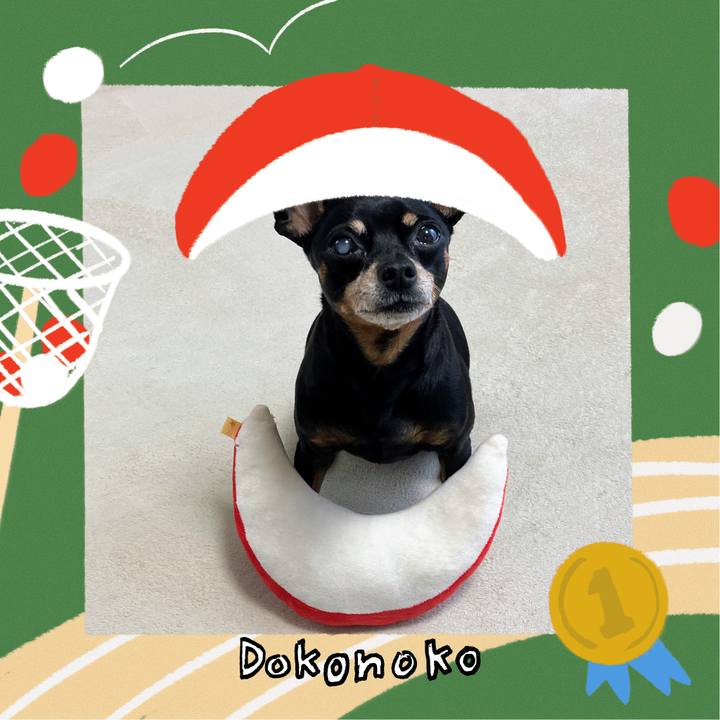 4ae61ed8 2344 43cd 9e6b 648af822370a 1791845992714