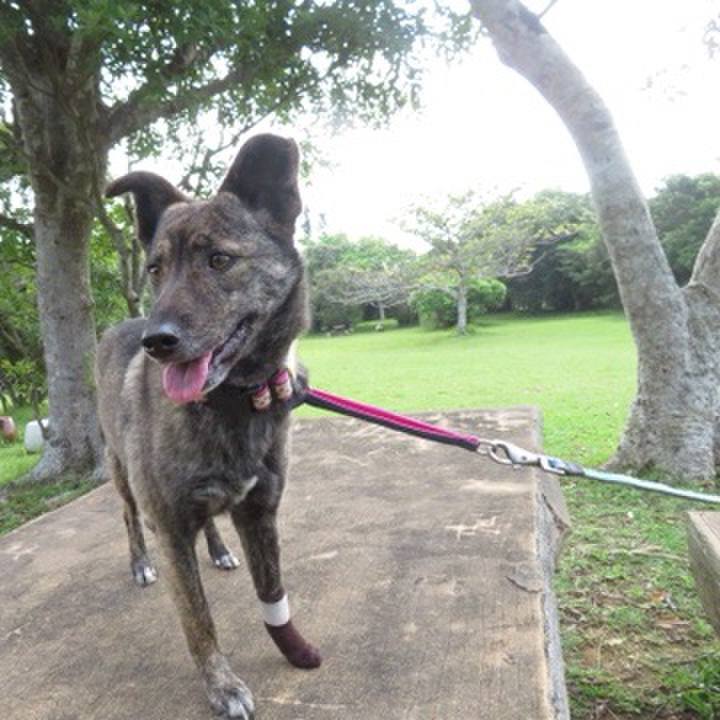 4ae633db bc3f 4286 a5e9 7c9be765f30f 1586853817217