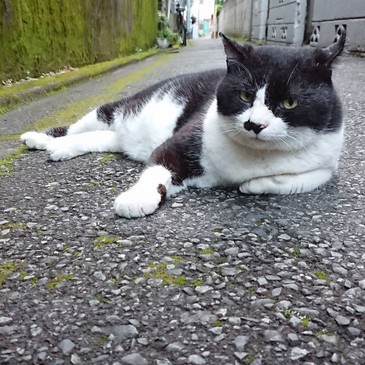 4ae661cc 61cb 4f05 9852 fcd3db8ca819 1627377595236