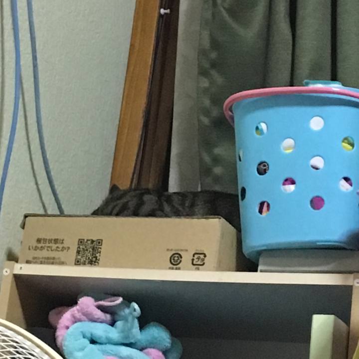 4ae6705c 2b23 4f29 b38d b52563b0feb4 1537274327377