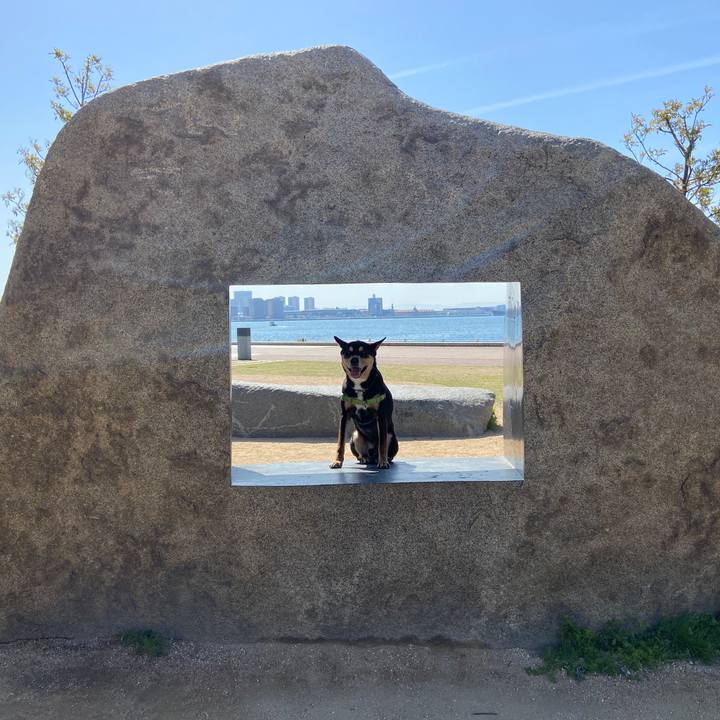 4ae68890 329b 4db0 ba7e af327faf60fb 1618230103868