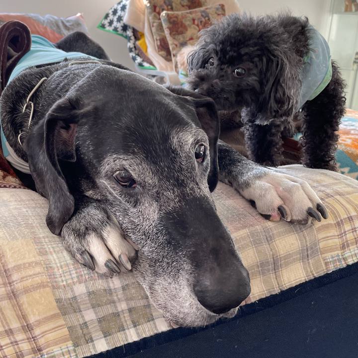 4ae688d0 03ea 46b4 a02b 41e0c1a1bb7b 1647210451603