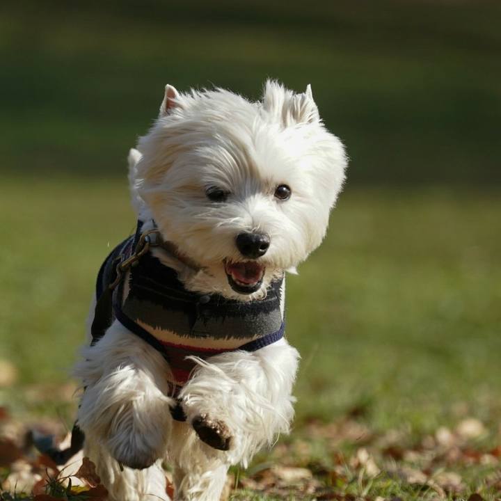 4ae69ab7 c2dc 4dd6 8737 08c2b384f1ee 1523274957391