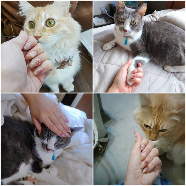 4ae6d0c4 6626 4853 b21c 4c45096c9fff 1697279166433