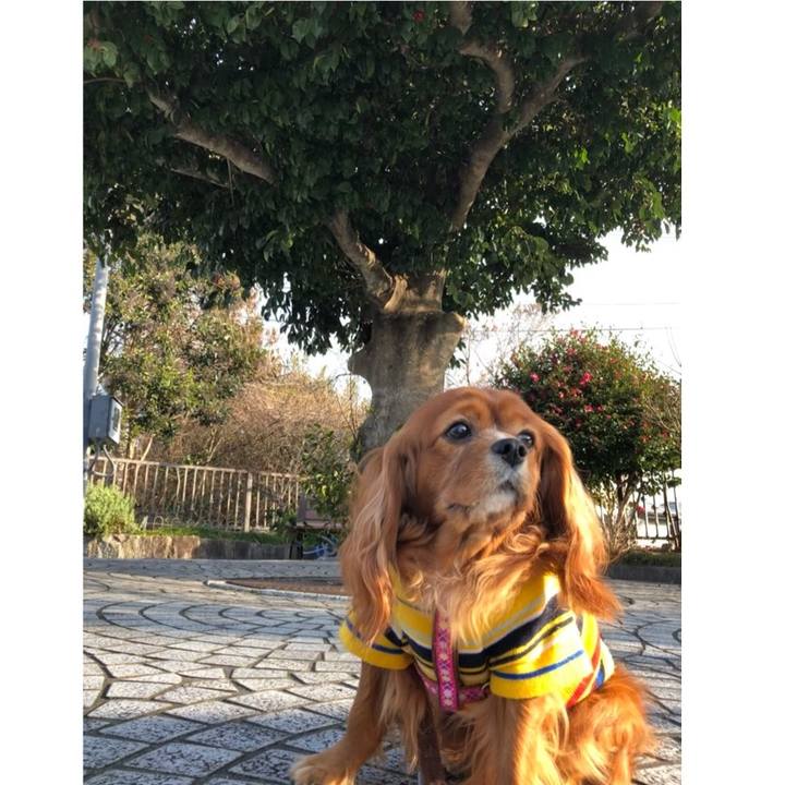 4ae6d734 f42c 4baf 9dc9 aba05829dabd 1642372392005