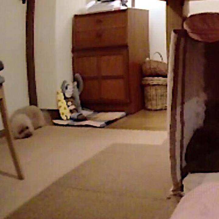 4ae6e29e e734 4f19 ba7e f5acc0342614 1537706671590