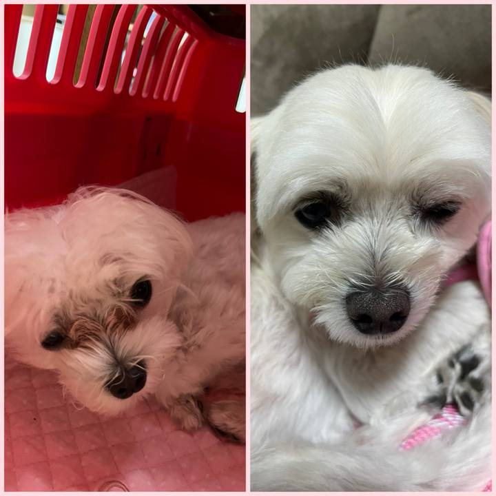 4ae6e43e faa8 442b bb68 d8a0cfca228b 1723807823041