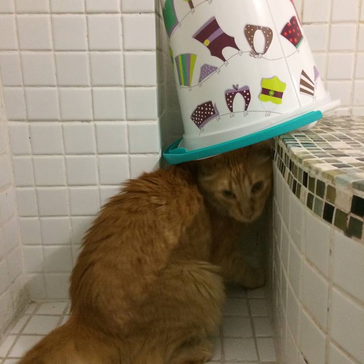 4ae6ea16 023e 4784 a36d 276fb9c8ce1b 1555691588952