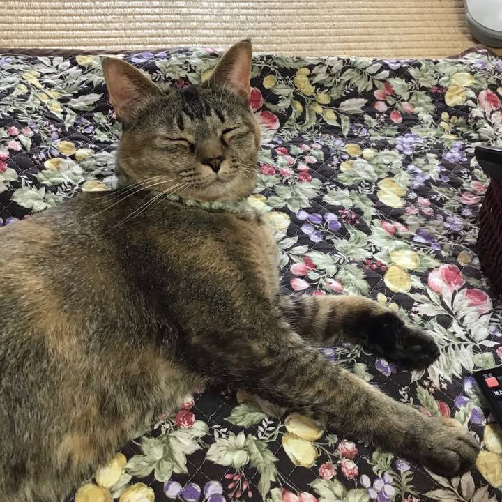 4ae6eb12 c832 4e28 8fa0 bf8380f49729 1640305462442