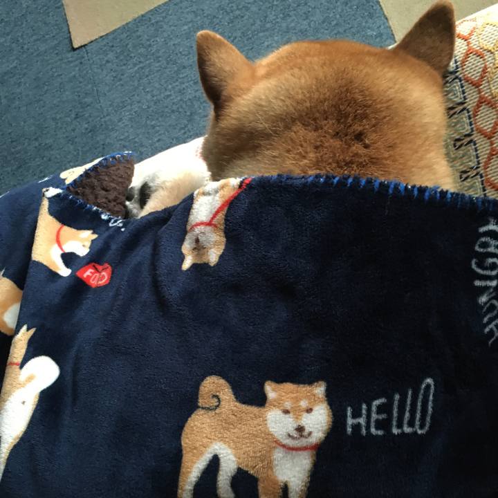 4ae764b2 99a0 4869 b41e 4b1c9f94bd3c 1601853802787