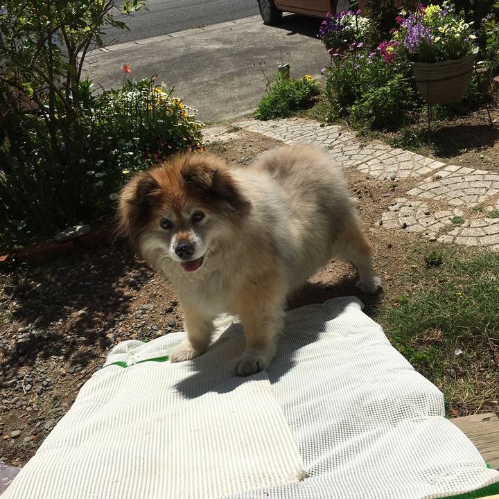 4ae78068 d865 4b61 860b 560c85dab5d2 1582474131884