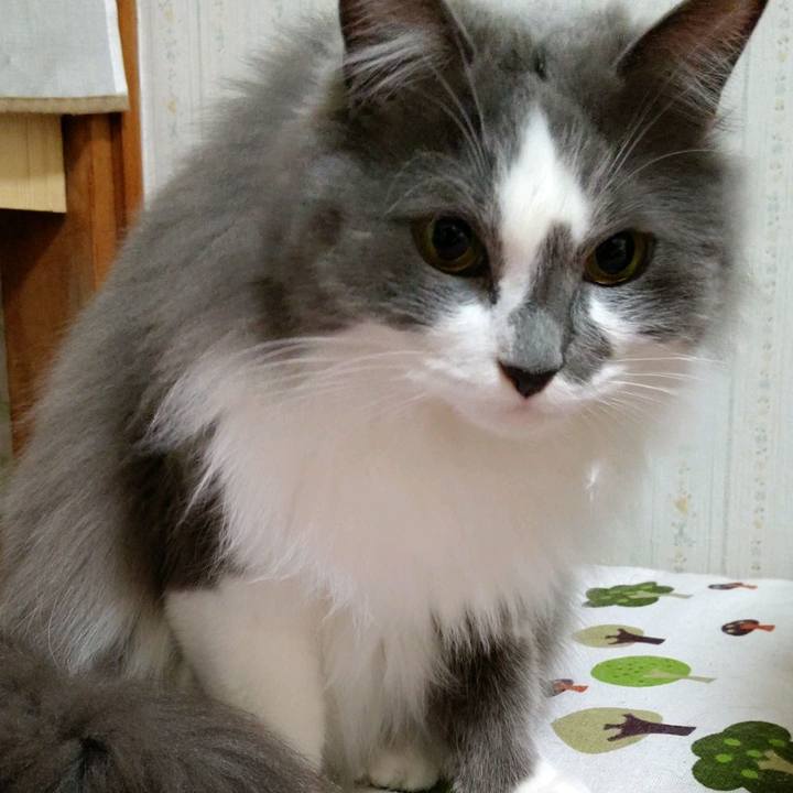 4ae783eb 2167 478e 82b1 88e37c7459ab 1616805773954