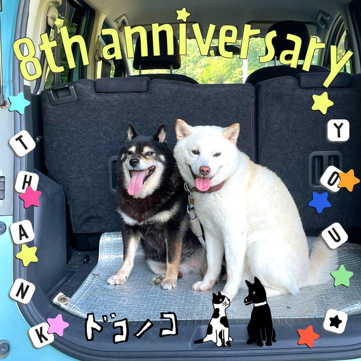 4ae79b0b 87d5 4f22 a88e 7652629e2672 1718357352965