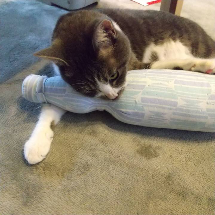 4ae79ca1 8aab 46f1 a817 0eaba97e7e8b 1600214840510