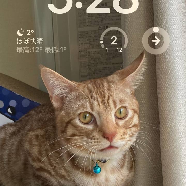 4ae7a114 2a4b 45bc b1c4 23dbf7b91b2d 1674162085336