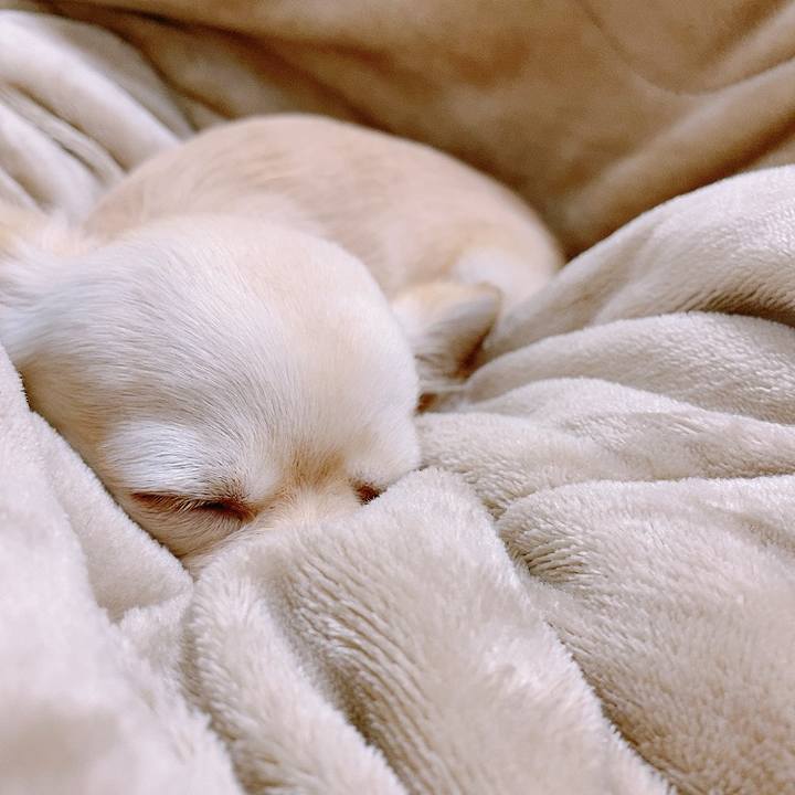 4ae7a952 b115 4799 a5d8 1951b1cca173 1611873555306