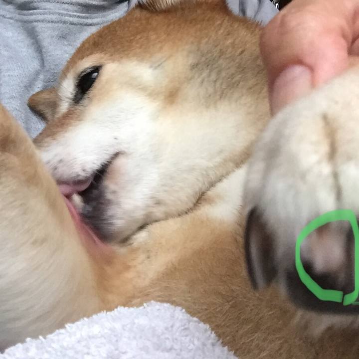 4ae8099e 3687 4606 93de 31df44280e3a 1592554388621