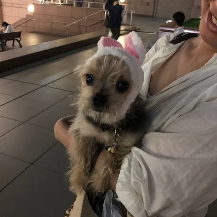 4ae82ea7 1194 4359 b584 7420ccd75f4e 1528404112967