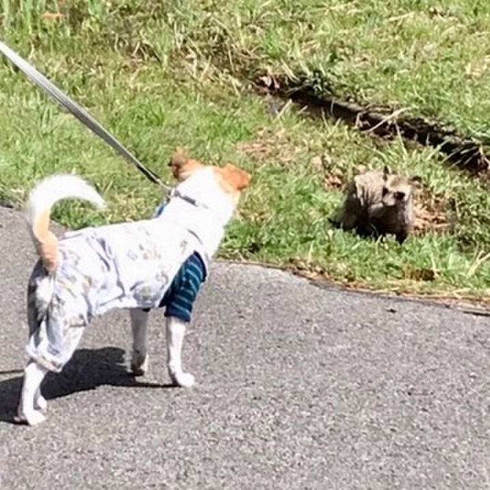 4ae86067 243d 4c0c bd66 f754edf8ac85 1647754504726