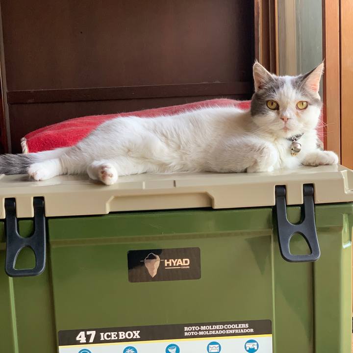 4ae8b123 6d8c 47c0 aee3 3b64da46e87d 1719575844539