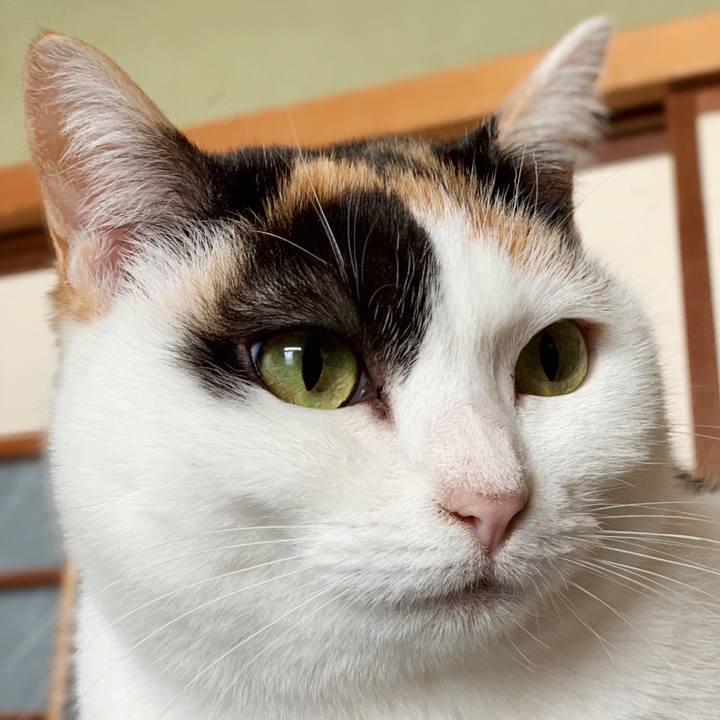 4ae8bfb7 1a3c 46b4 80b5 f1aba84ad297 1549332134587