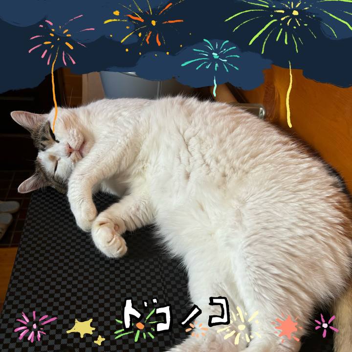 4ae8f435 efb9 46a4 a34e fbff4a657cc5 1723335199308