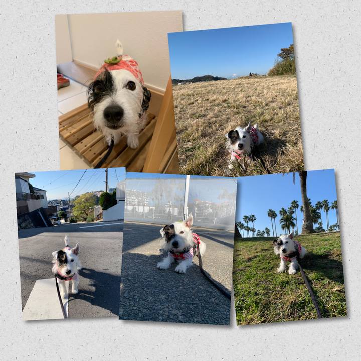 4ae901c0 a16e 4e26 bd37 733921364561 1670637542130