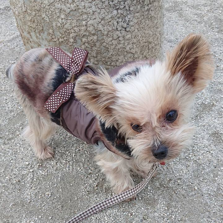 4ae90548 a070 46c7 aea8 6ea523eb5025 1579950848706