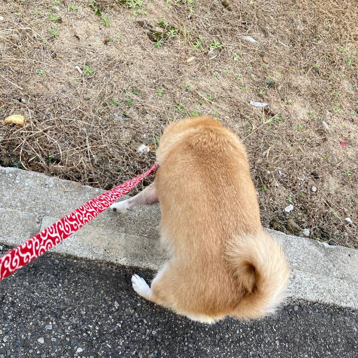 4ae90bb0 01a4 4e36 b4b2 dfd10eeea21c 1638278534408