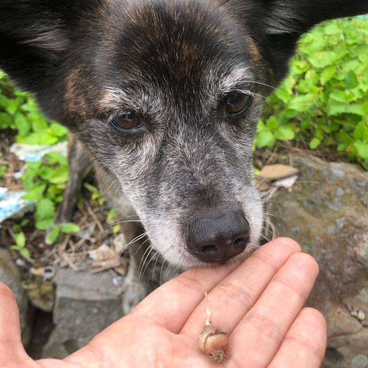 4ae9211c 2b9f 47dc bf58 c9482e34faa1 1656925751764