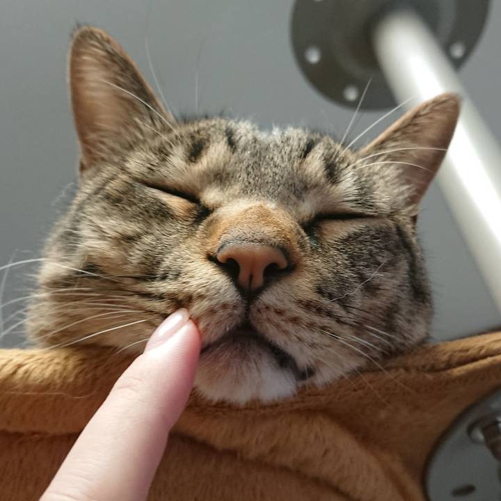 4ae9497f f924 4b24 9976 8d506128a147 1561193315315