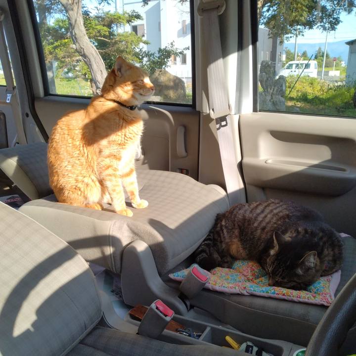 4ae95d0c b660 4db5 beaf c683a189d072 1685521402531