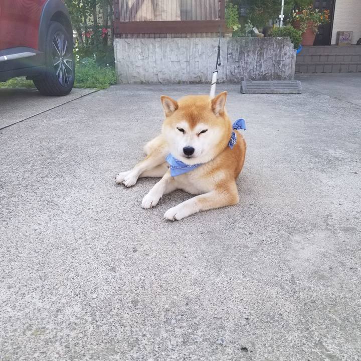 4ae9ddfe 3009 4c25 8e4d f8afe9bccf78 1560466831353