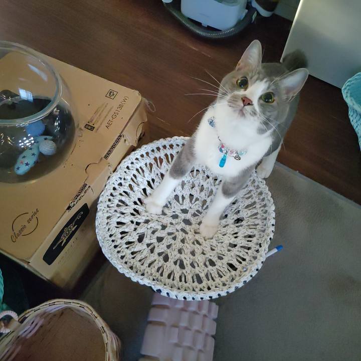 4ae9fa94 576b 4838 8cf7 8e7edcb65d74 1666221540147