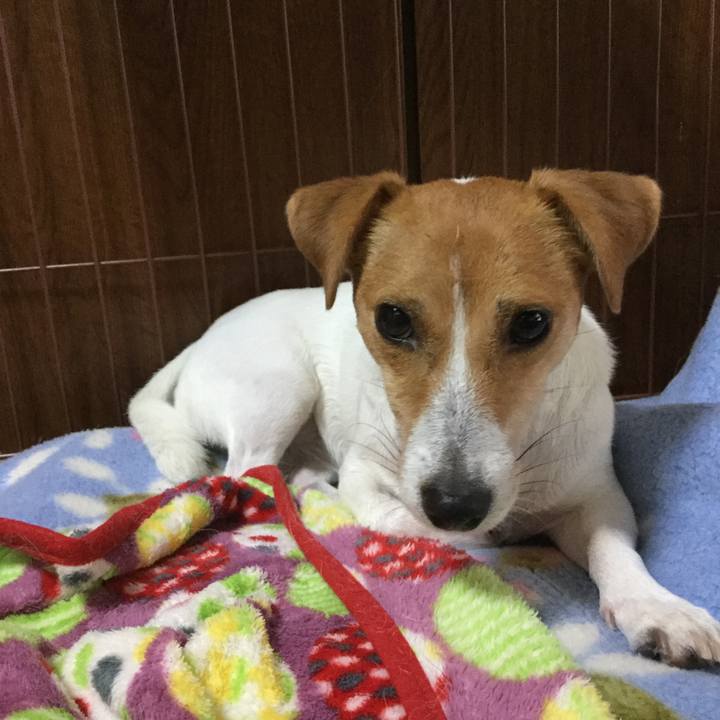 4aea2965 bd65 49d7 ae7b ff6b827dd57f 1540334673361