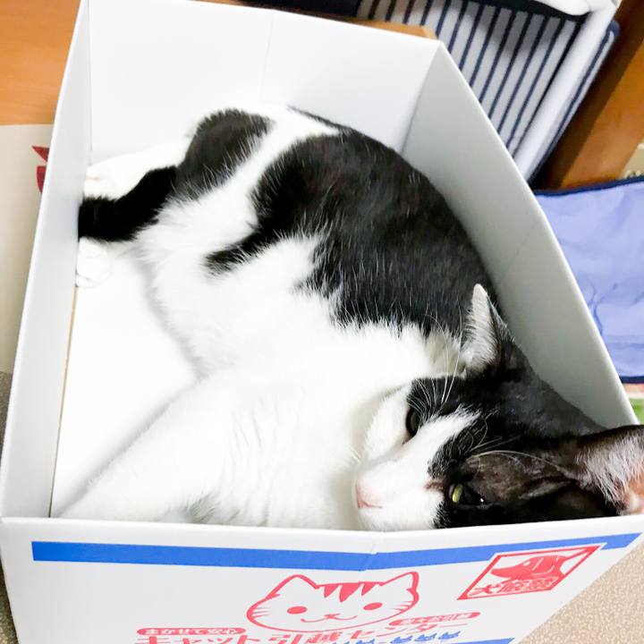 4aea3077 78b4 4a7d 9077 0ce2610d1c1c 1534899104654