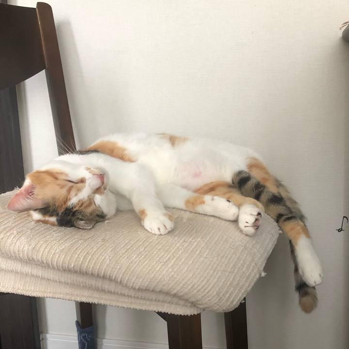 4aea46fb 7c9c 49ba 8c12 4fa7eb76ff10 1595481900708