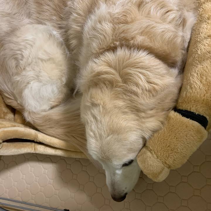 4aea4a8d 07c3 495c 9dcd 3def9d8ce31a 1675860715035