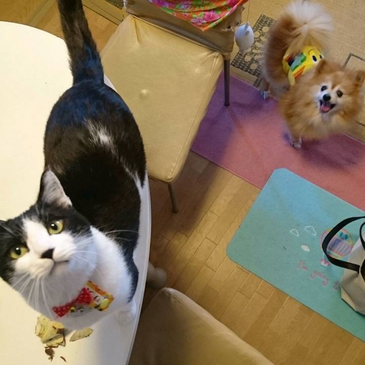 4aea7d6b 69dd 45d3 97c3 944e0607a213 1555289791878