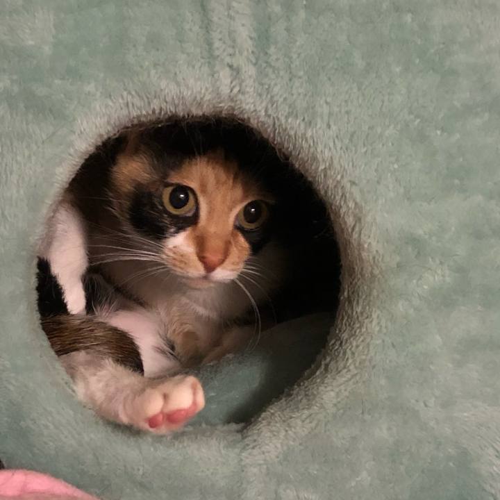 4aeaa08c 51f2 4518 8fbc be7bf0719466 1551445265205