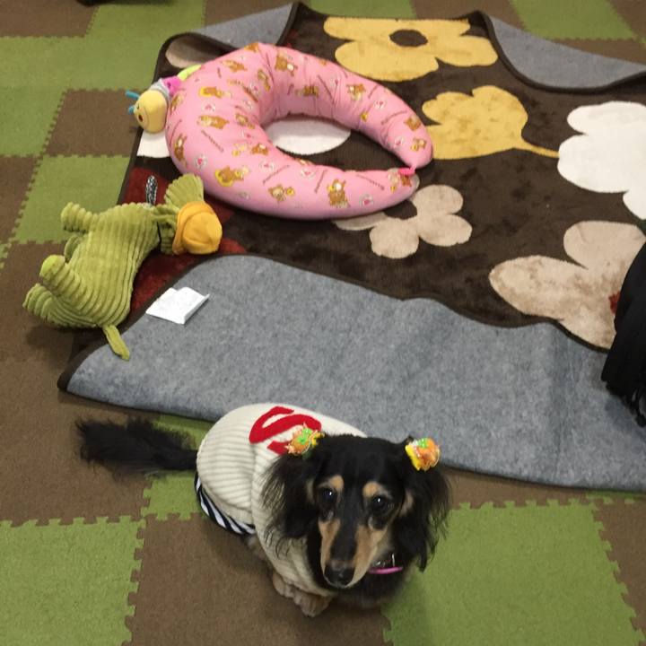 4aeab8f2 fc39 422d b85d 3fc78e8492d6 1542367308707