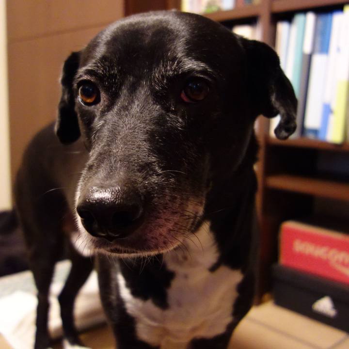 4aeacf19 fefa 49c8 8ff5 367664c9b5ec 1735001146052