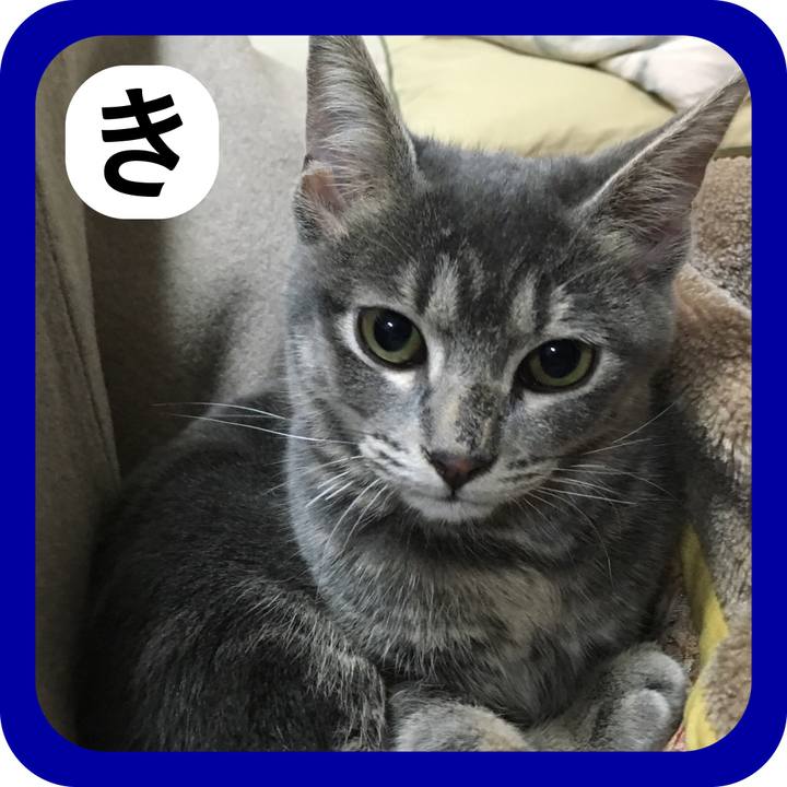 4aeaff63 ee15 4a05 aa94 bf3f082be766 1515064108245