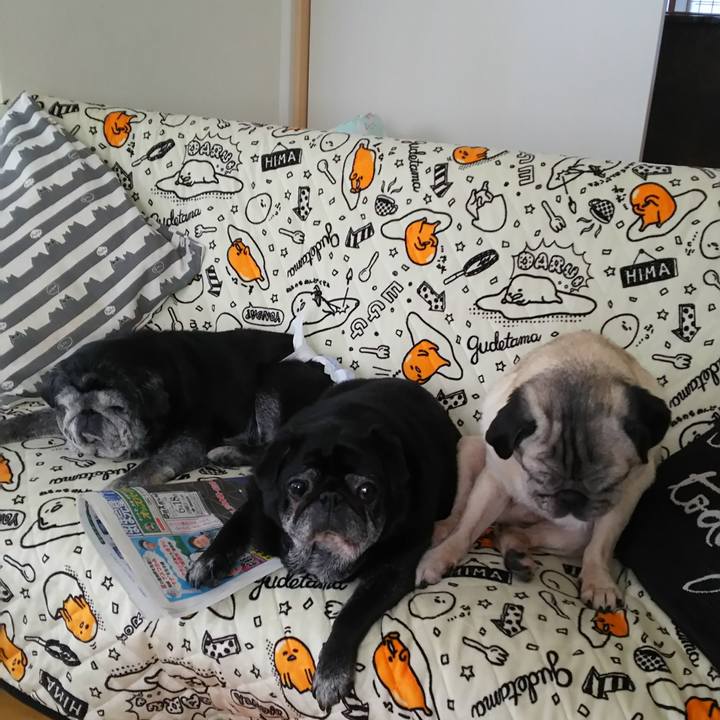 4aeb004a 6557 4d26 9f39 27fb265bb0b2 1596370308379