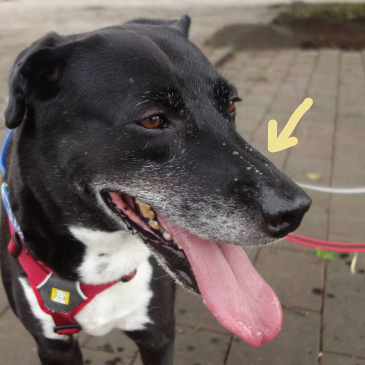 4aeb02a2 45cf 4eda 9f14 1b7c12d38ad5 1694823093084