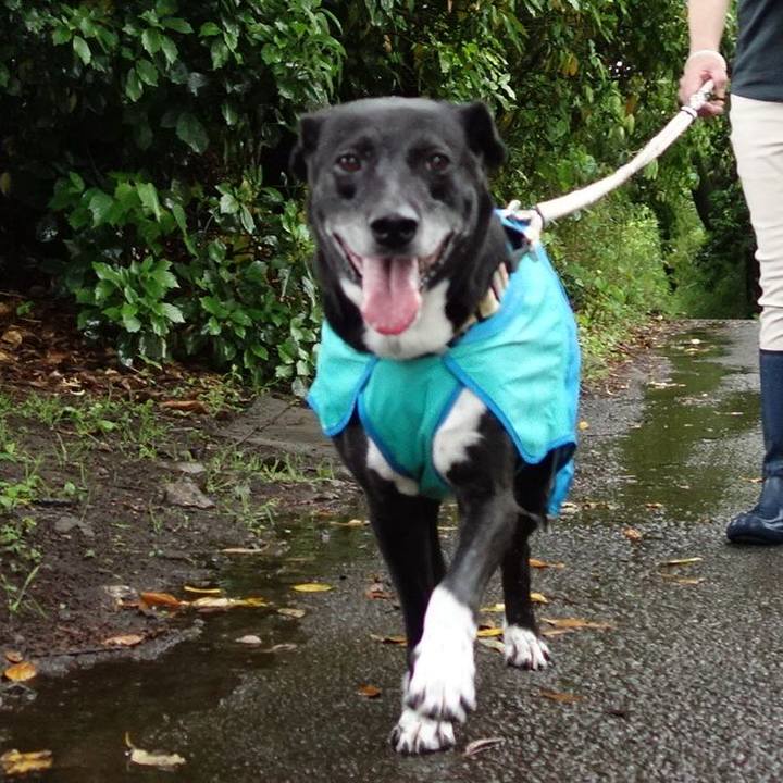 4aeb1eb4 2563 48d6 a13a 615ad277dfeb 1715558696681