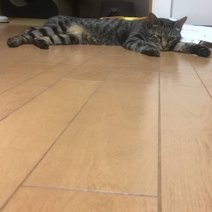 4aeb3f36 f533 4aae afef 9aeb6a8438d8 1534941541236