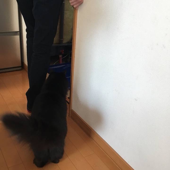 4aeb77cb ec1b 4dea 8994 927f8d141cce 1547258102601